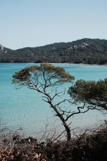 Appartement T2 Toulon Hyper Centre 외부 사진